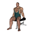 Dumbbell Curl - Seated Inner